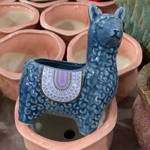 羊驼歪测，的，的，的，d