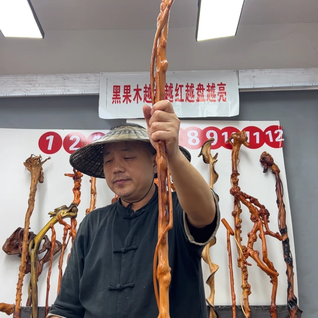 峰***影黑果木其他黑果木482