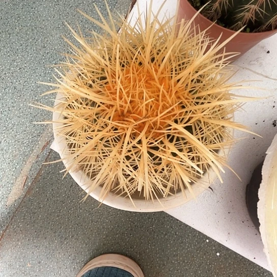 遇****缘怒虎瑕疵谢谢谢谢谢谢谢谢