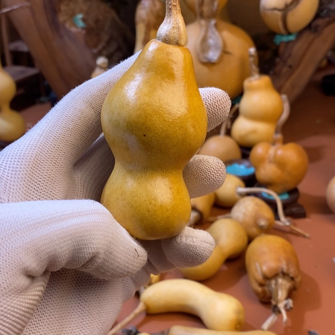 *****教练教练教练咯哦哦