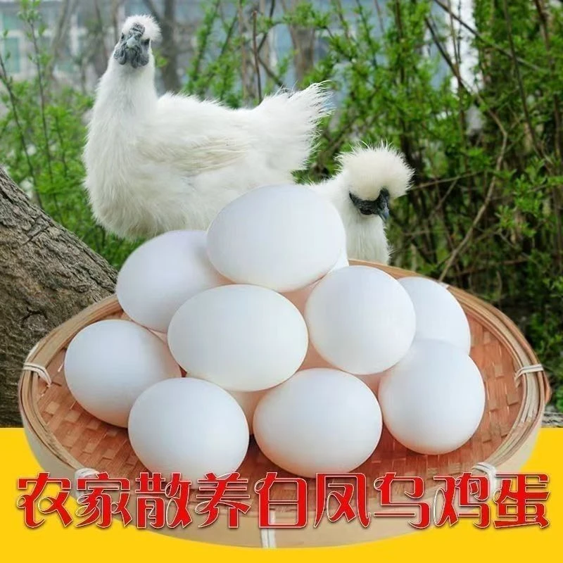 鸡蛋土鸡蛋新鲜农家散养生态土鸡蛋正宗土鸡蛋 白壳 乌鸡蛋-50白