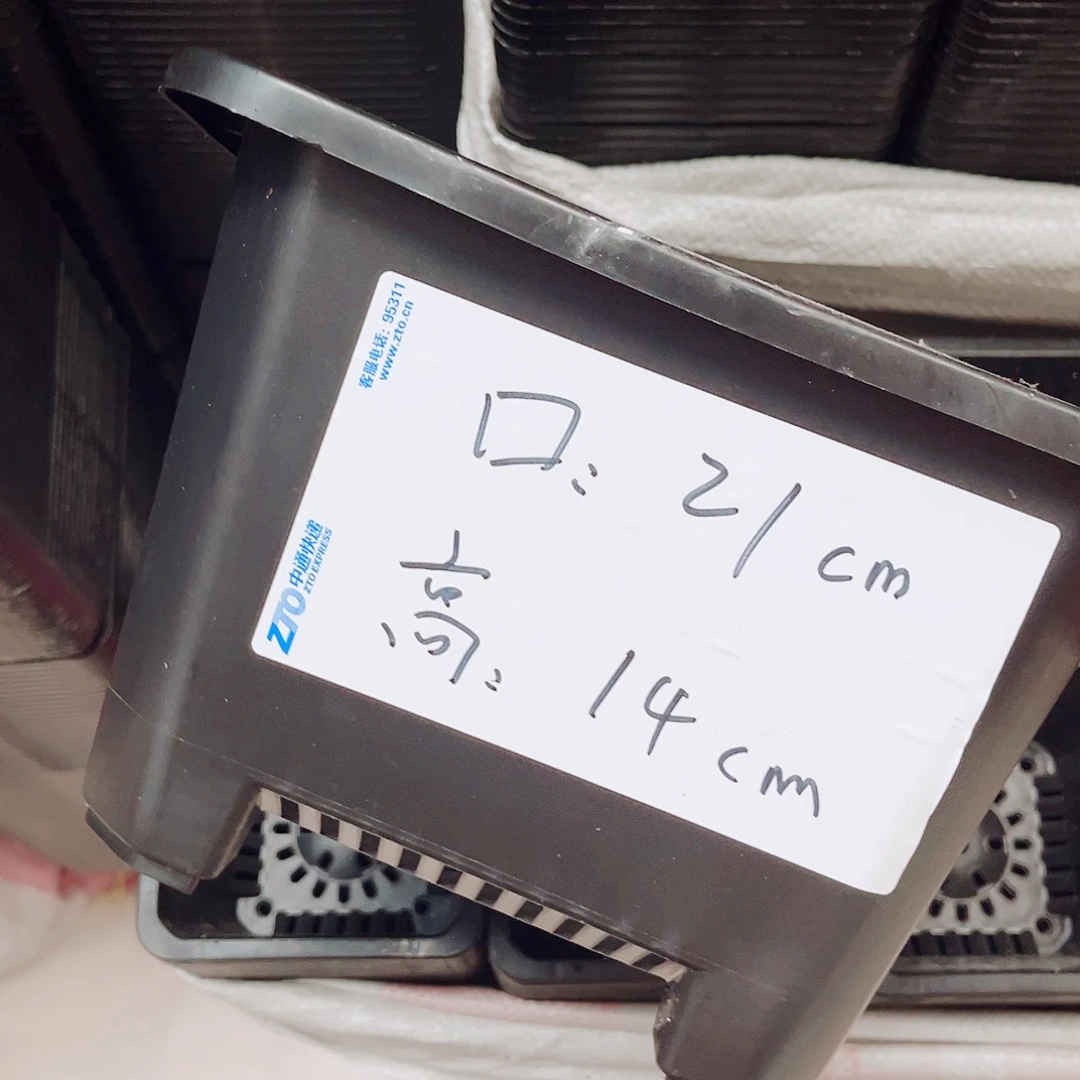 中厚口21黑方盆5个无托