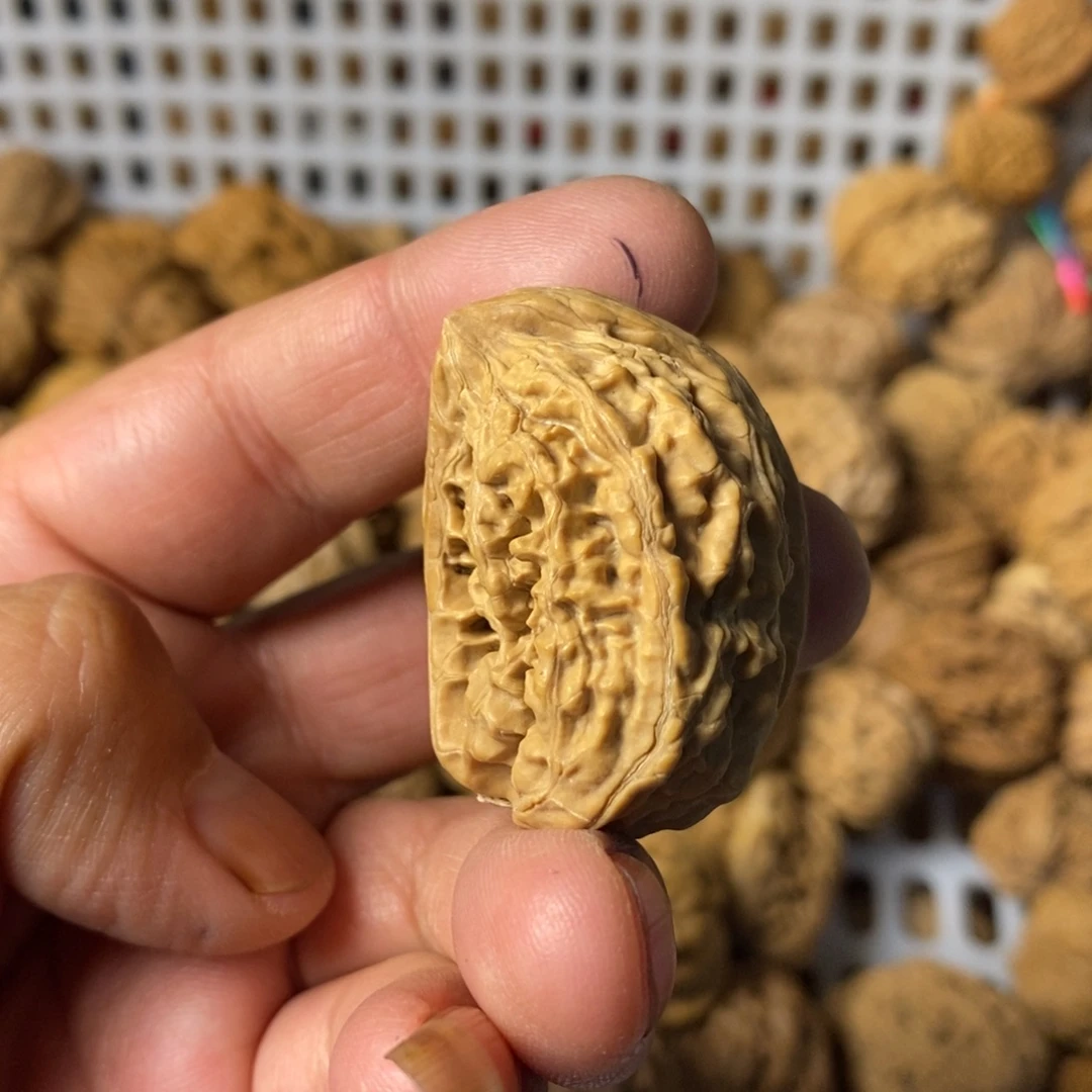 F***七大叶紫檀（黑酸枝木类）