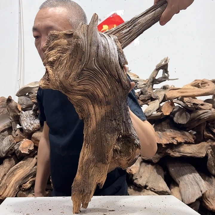 柏木一*我们的生活也是如此的丰富