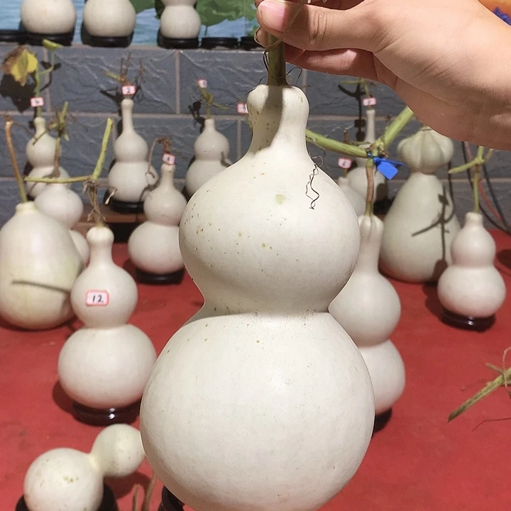 中号现货秒杀现货