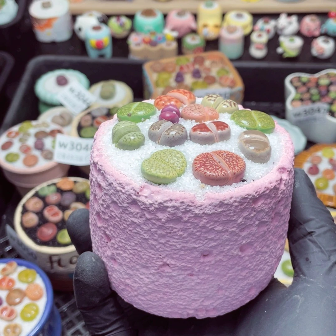 w3053--带盆土发货，零下地区拍保温箱