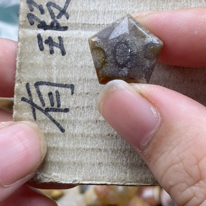 硅化珊瑚（珊瑚玉）未镶嵌颈饰黄*