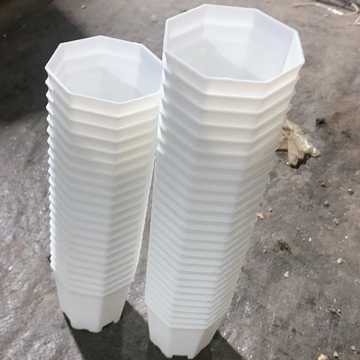 7八角盆50个白色