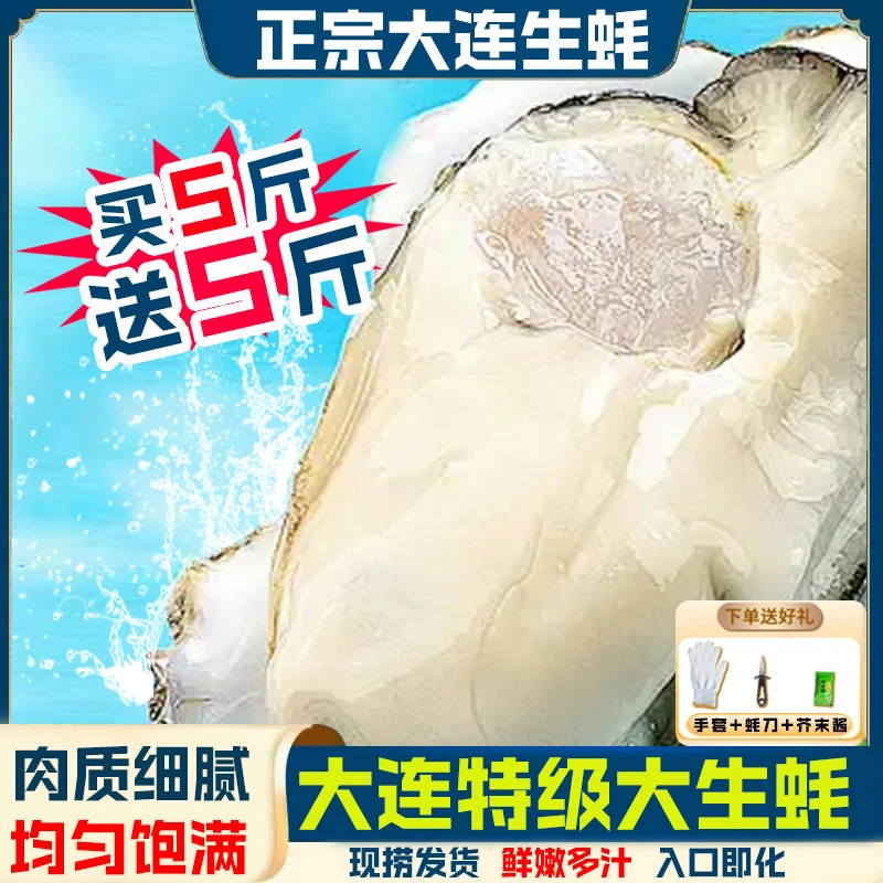 5XL新鲜正宗大连渤海湾生蚝原产地包邮可蒸煮烤鲜活海鲜5斤送