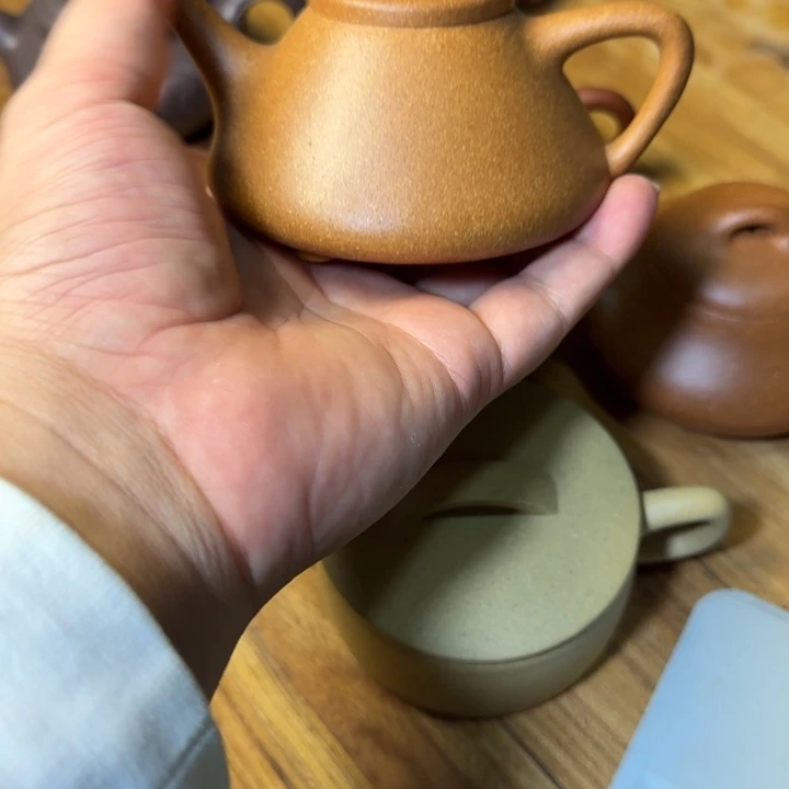 紫砂茶壶阿君莫老师咯