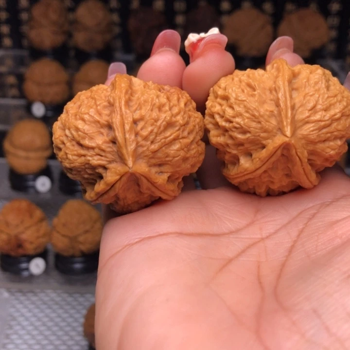 橄榄核吊坠58七星三楞佛肚