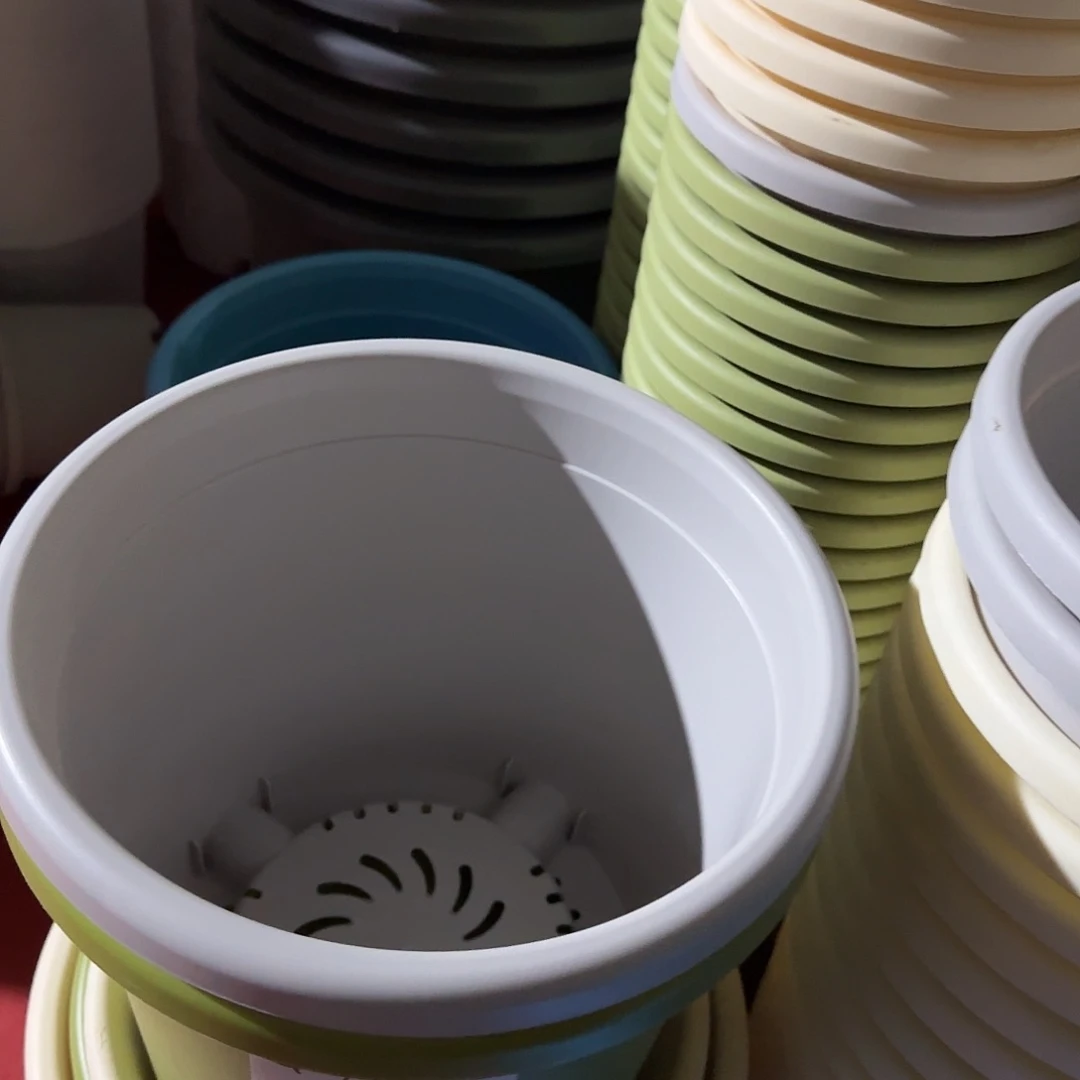 树脂四季7号带托5个果绿