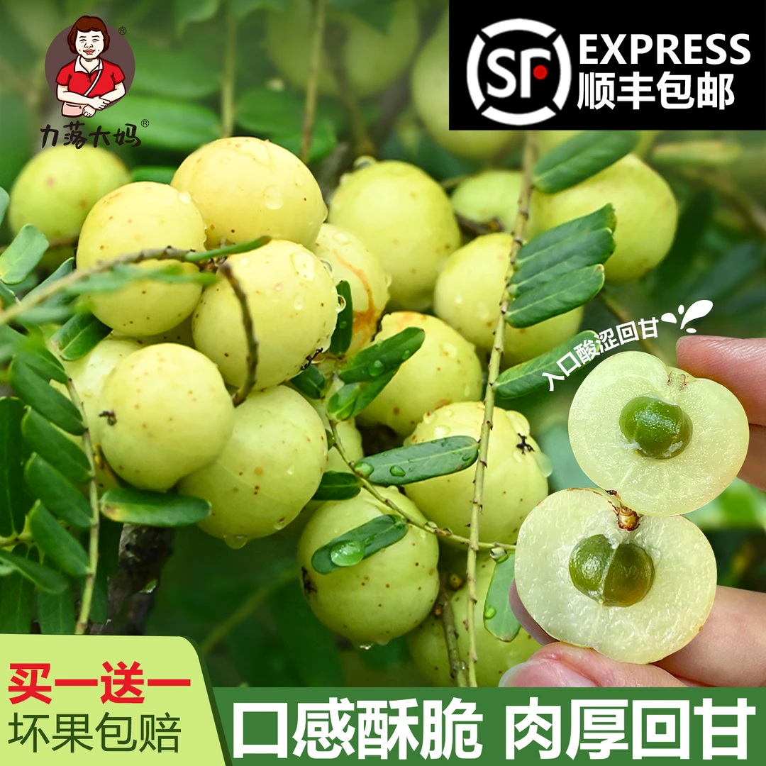 【顺丰包邮】潮汕大妈油甘果新鲜崩坎油柑孕妇水果榨汁滇橄榄果