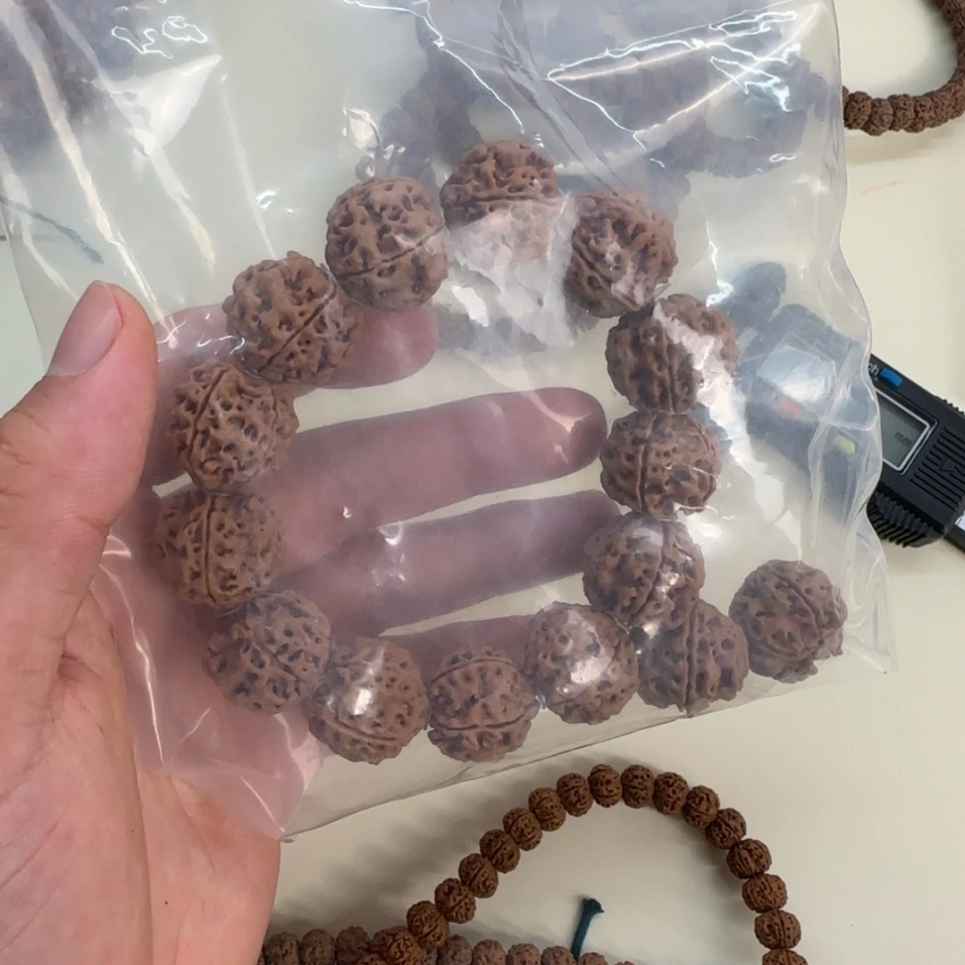 吊坠金刚菩提大金刚带备籽