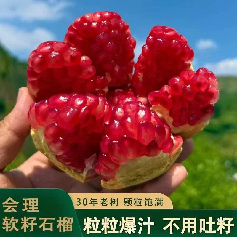 正宗会理突尼斯软籽石榴整箱5/9斤爆甜多汁新鲜应季水果坏果包赔1