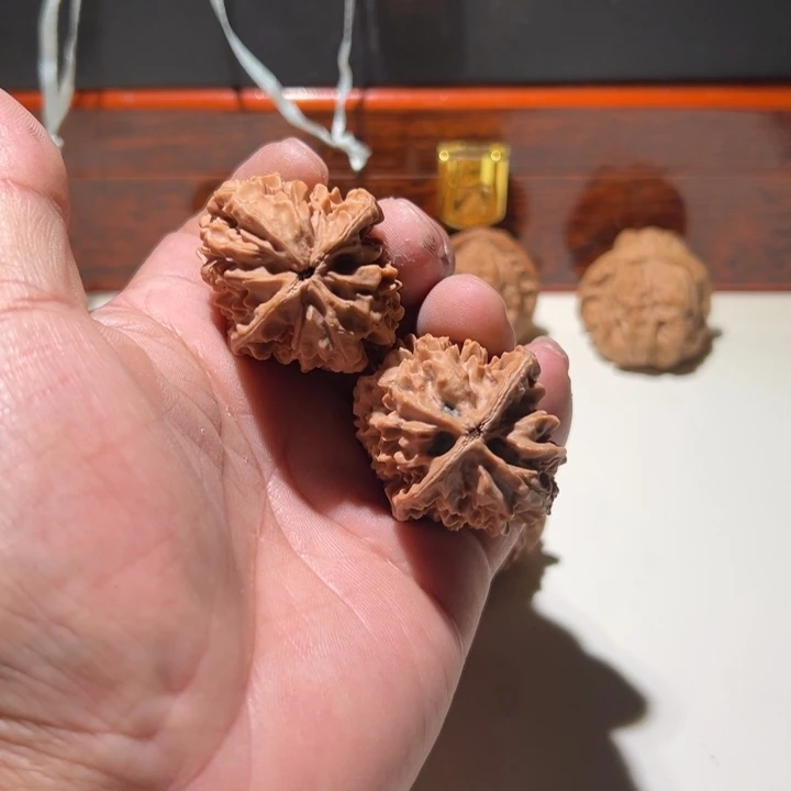 文玩核桃把件招财shu