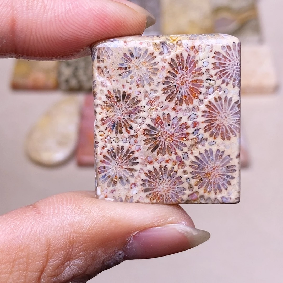 R****硅化玉合金珊瑚玉