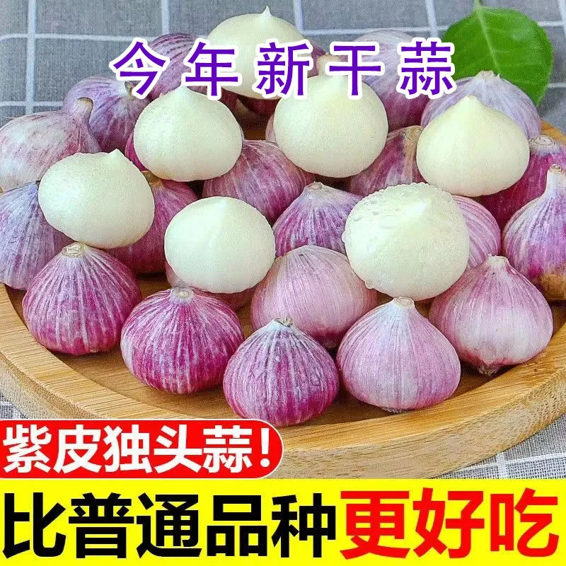 【每天精选】云南独头蒜正宗大蒜煲汤优质独头蒜优质大蒜独蒜优质独