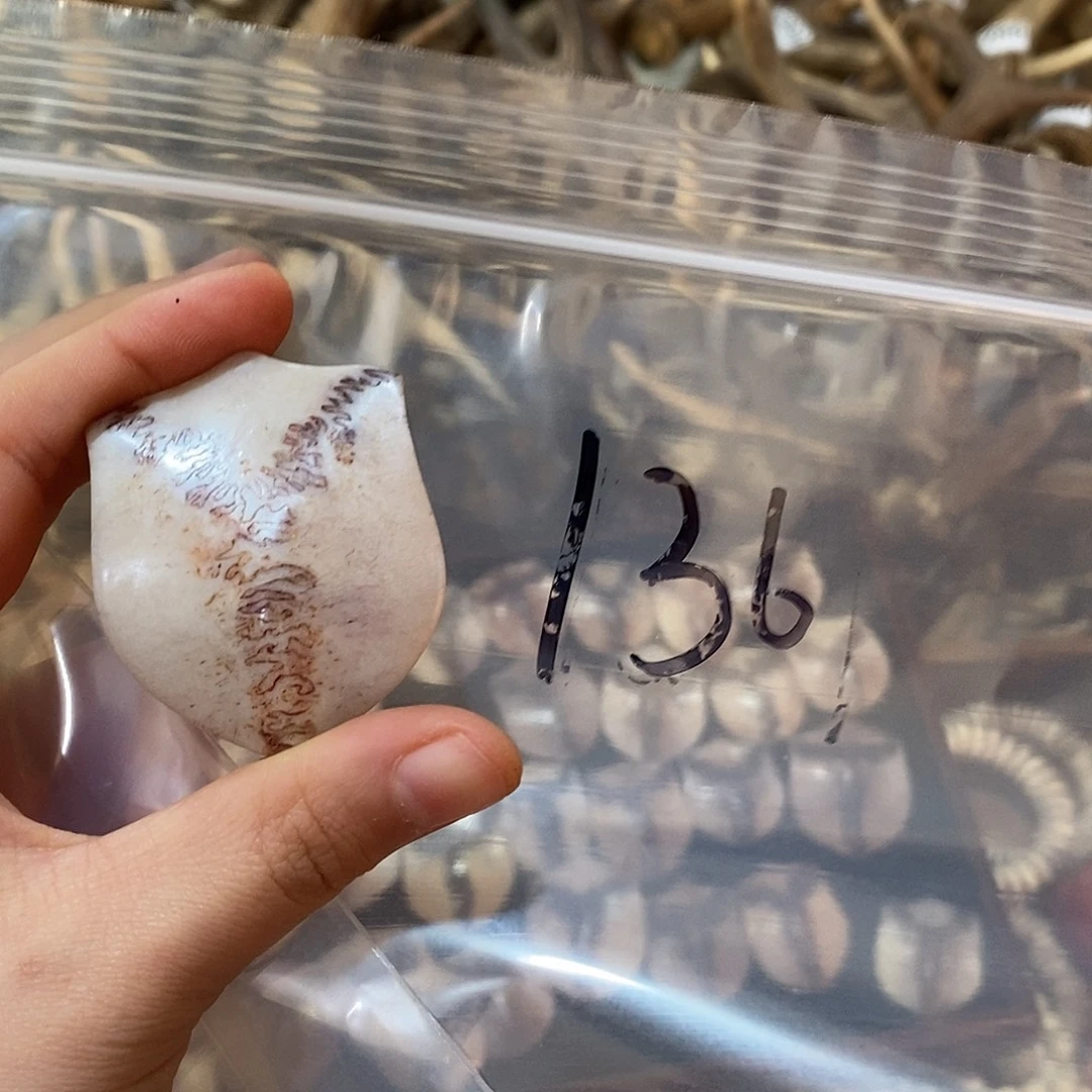 霍***贼非金属三界三界三界