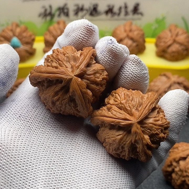 晟***表核桃37拼接白狮子