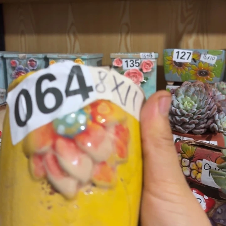 多肉花盆满15包邮