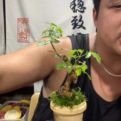 一物一拍所见即所得132