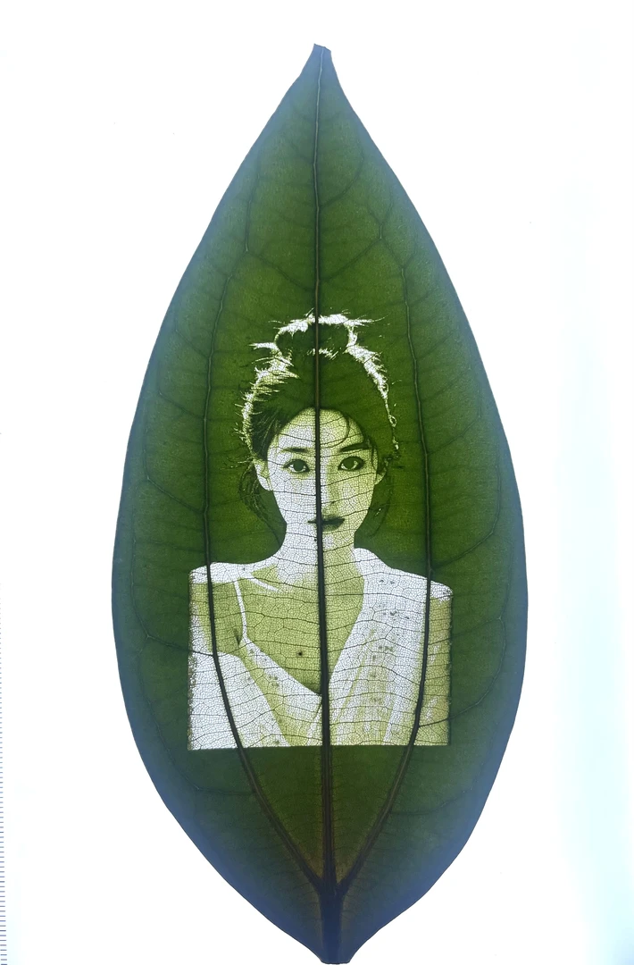 爆款透光叶雕精美礼品来图定制