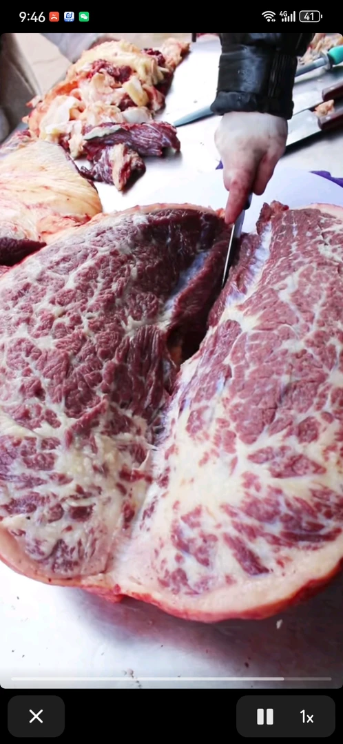 清真本地黄牛牛肉雪花牛肉  三斤