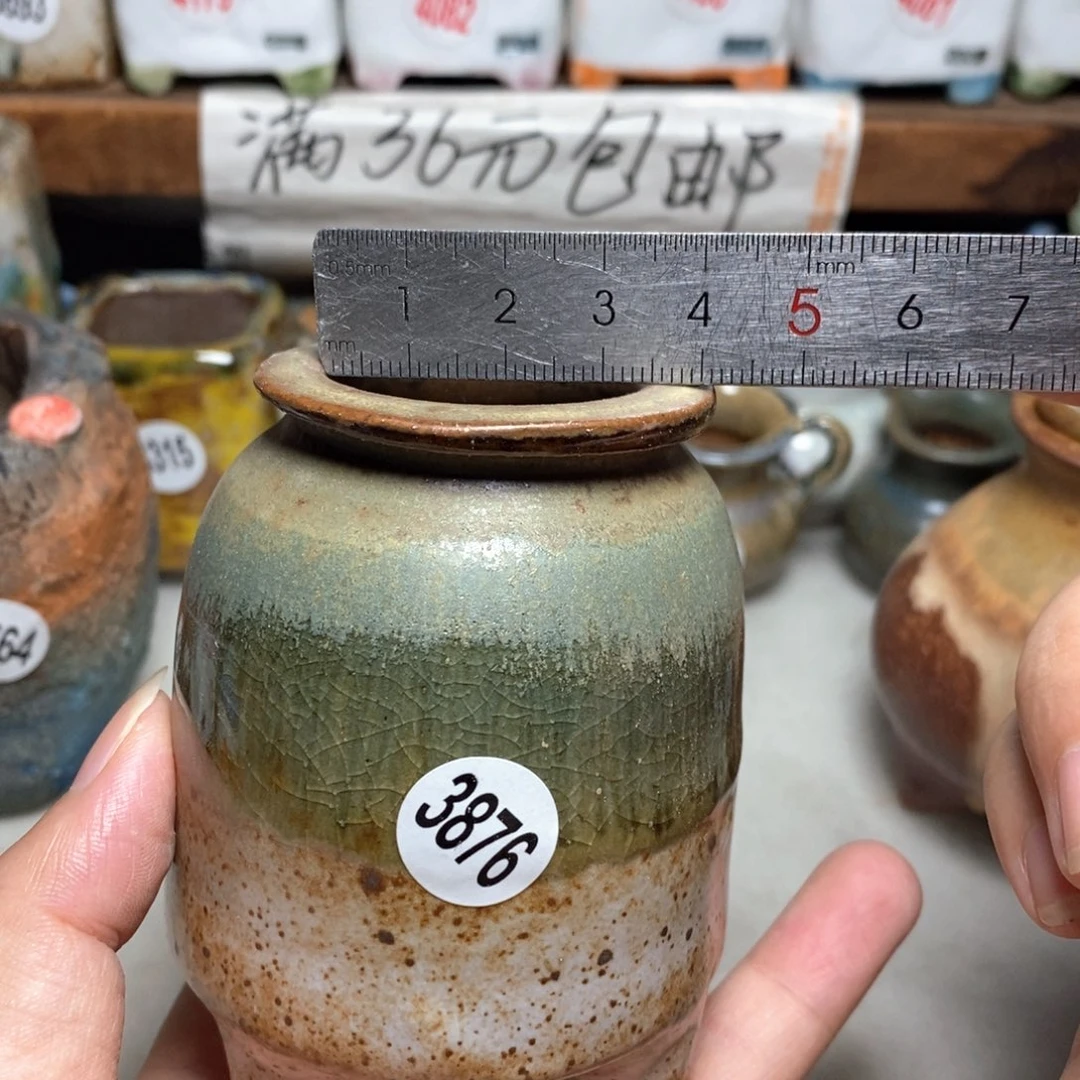 拍5送一个小礼物