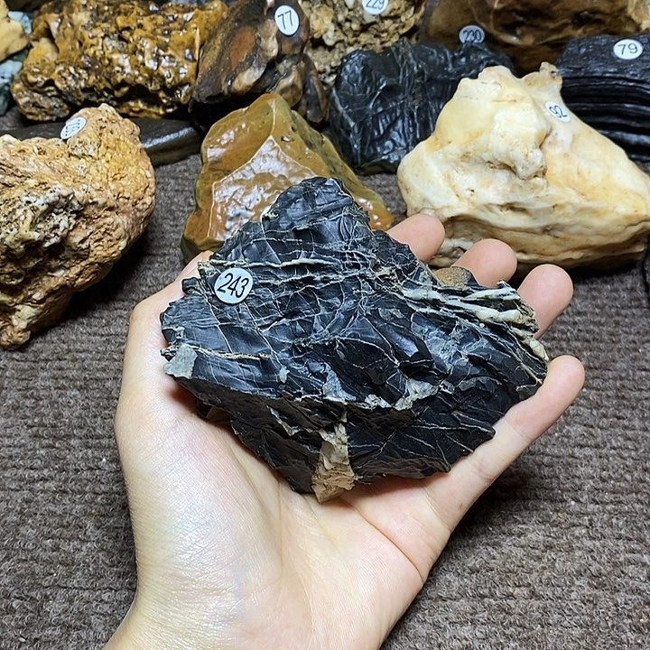 说**已6.10 243号 呃呃呃呃呃