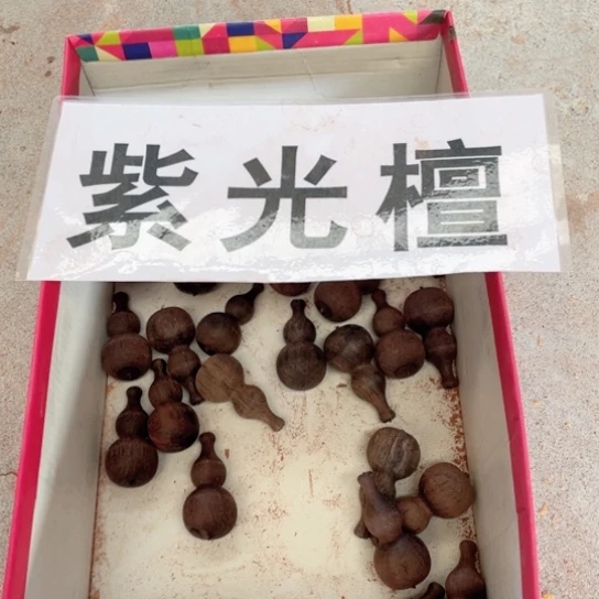 非洲紫檀（红花梨）