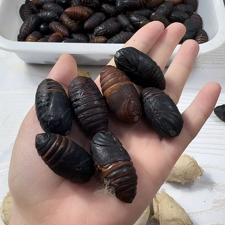 30辽宁省包装一箱半斤