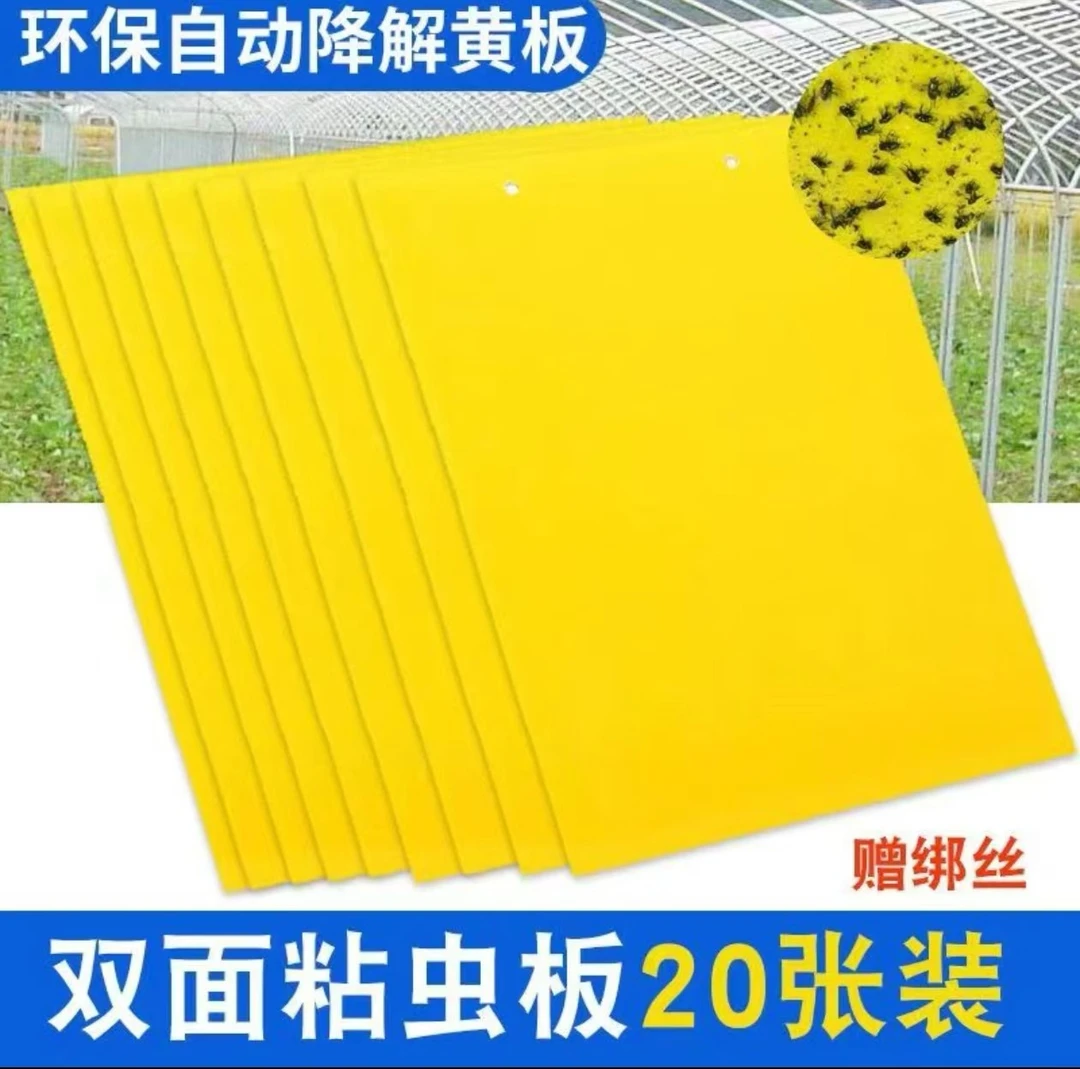 粘虫板双面诱虫黄板黄色沾虫板农业蓟马园林捕虫贴