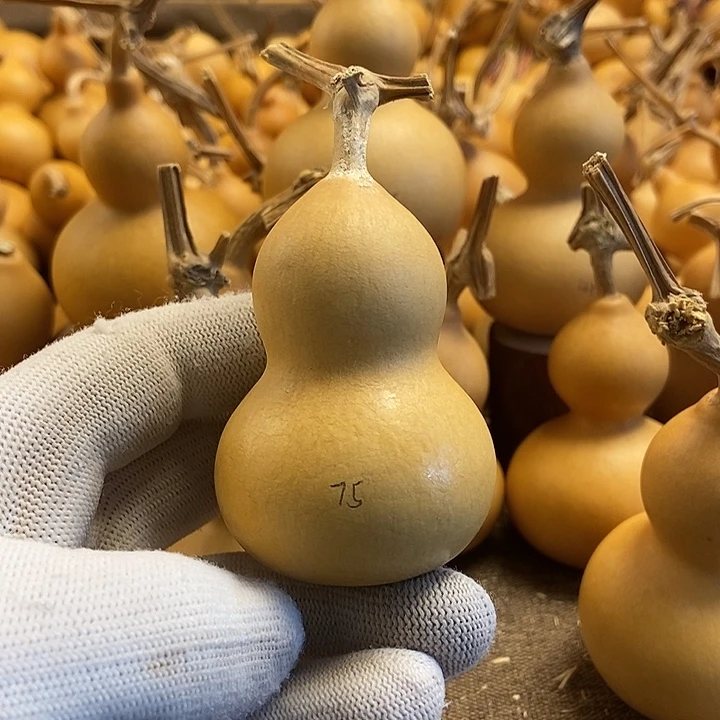 文玩葫芦 完美主义者 慎拍75