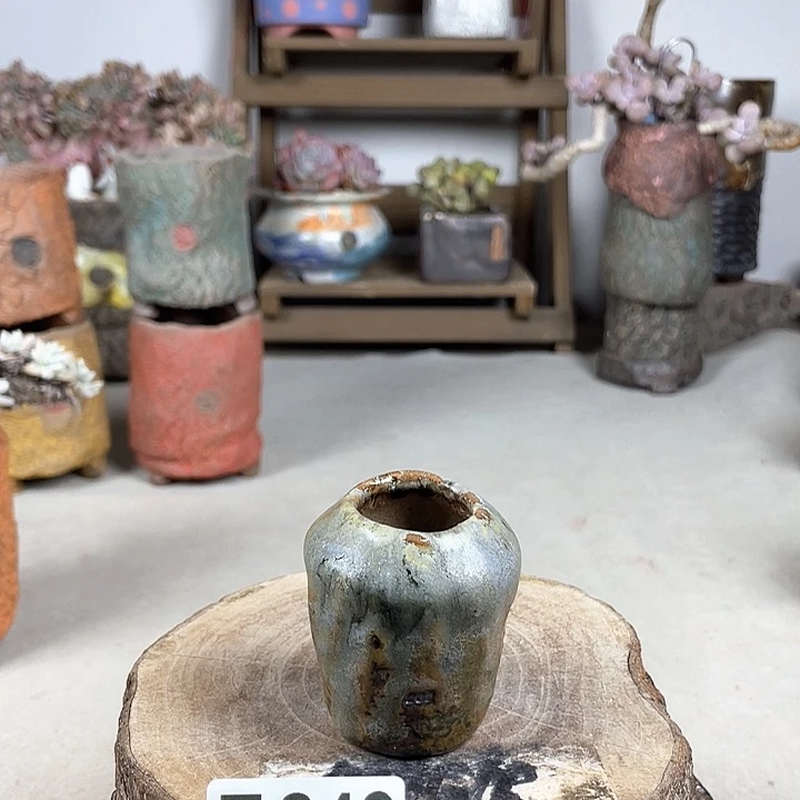 紫砂花盆开播福利 陶瓷花盆 默认微次
