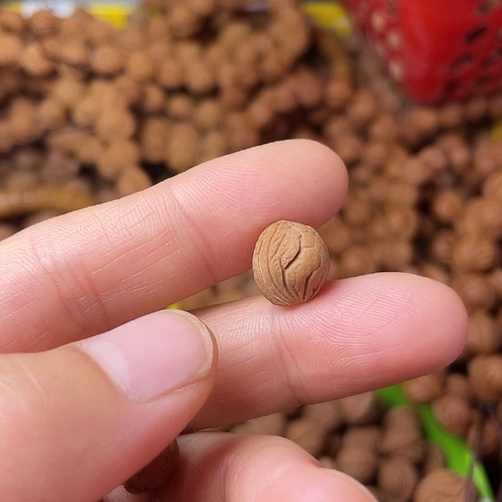 桃核吊坠祥****军秦岭龙纹小龙纹10尺寸22颗打孔