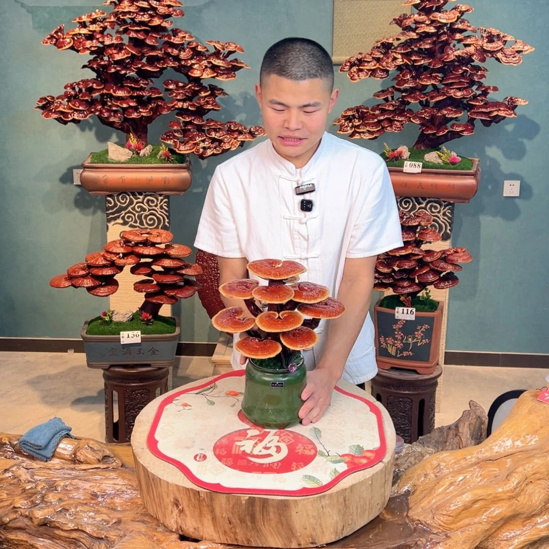 无花朵88888888888