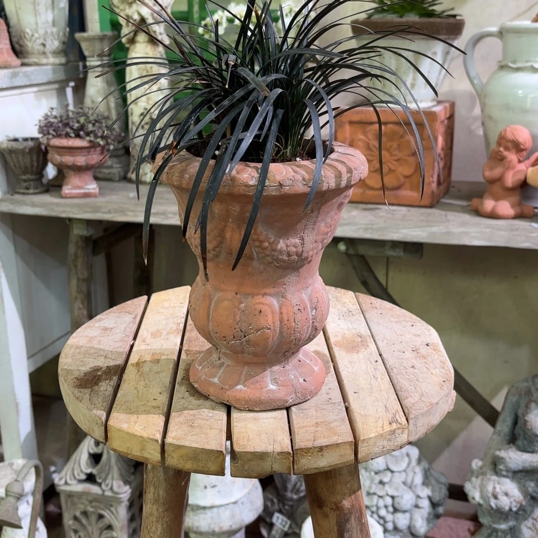 许纯的花房麦穗奖杯