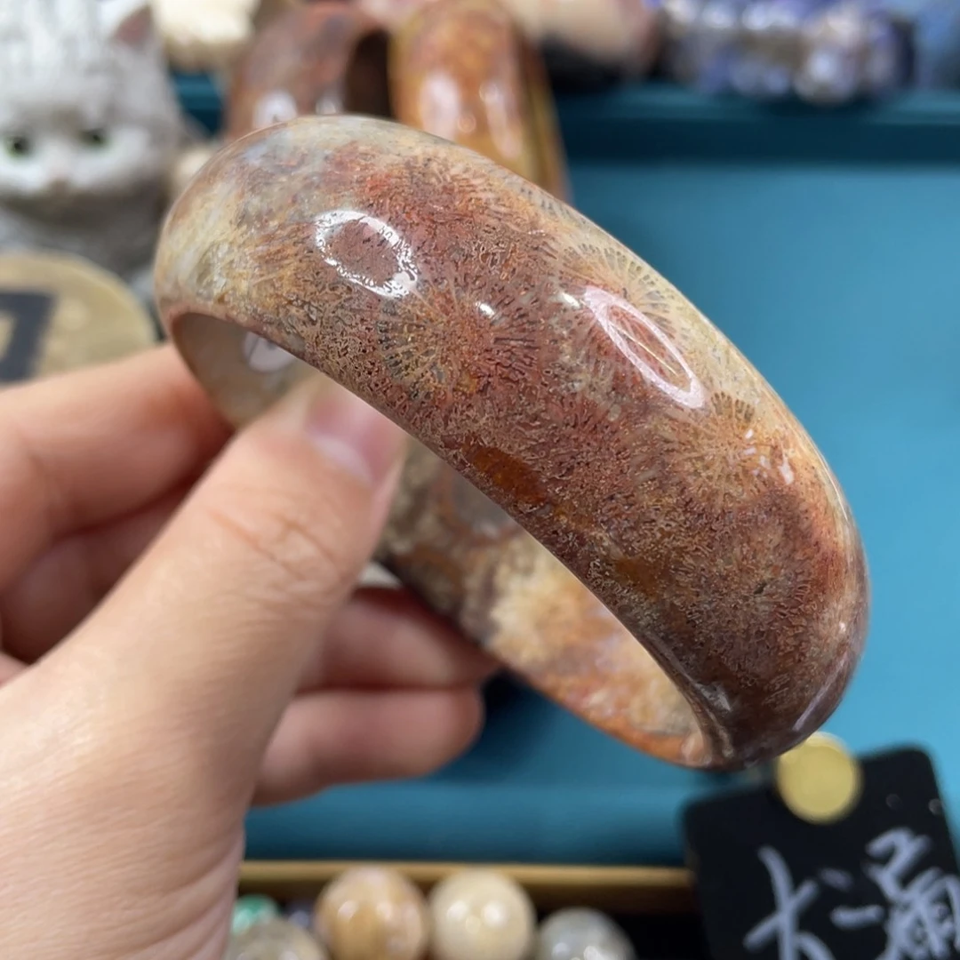未镶嵌手镯硅化玉