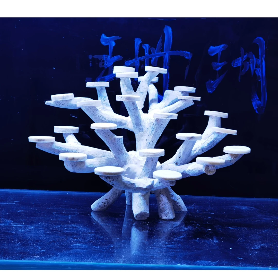 45海缸造景  枝状死石造景   免瀑藻