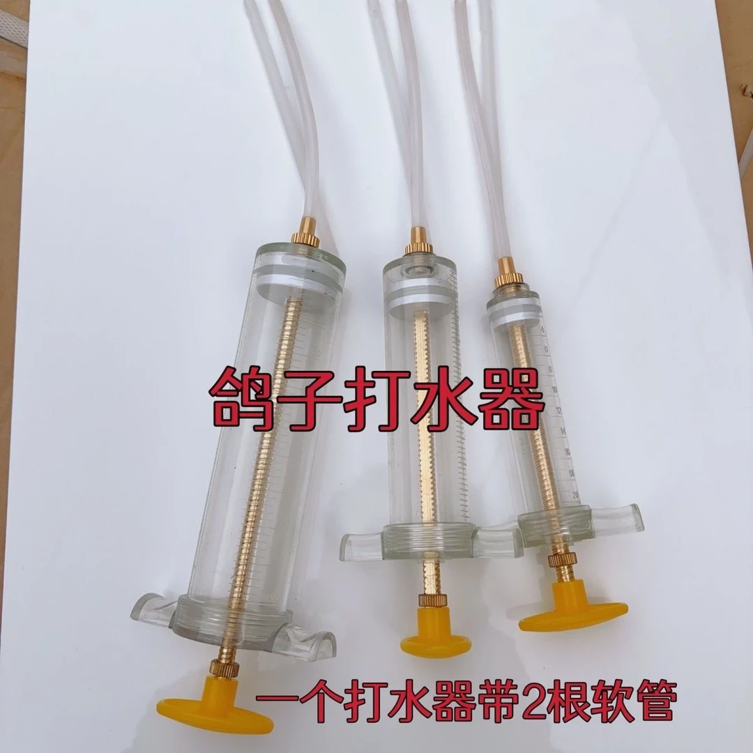 鸽子 上笼打水器