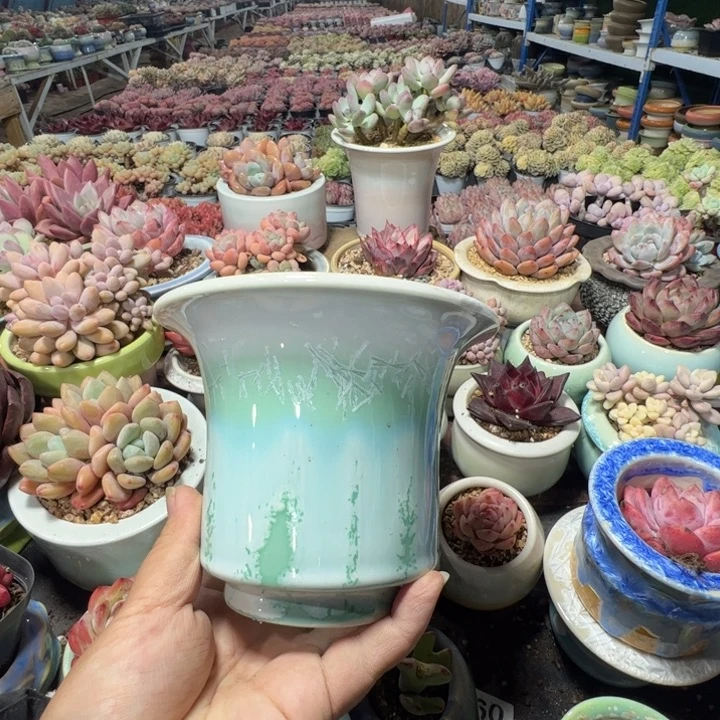 特价花盆满50发货 内口12