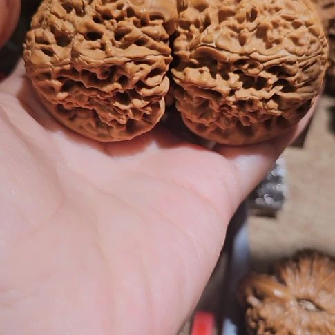 吊坠文玩核桃48粗