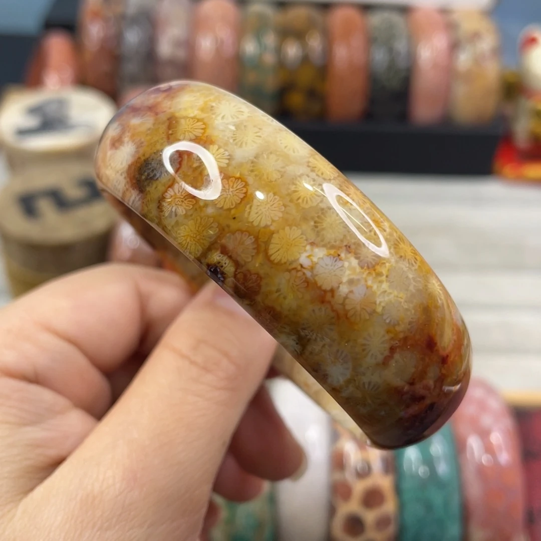 未镶嵌手镯硅化玉