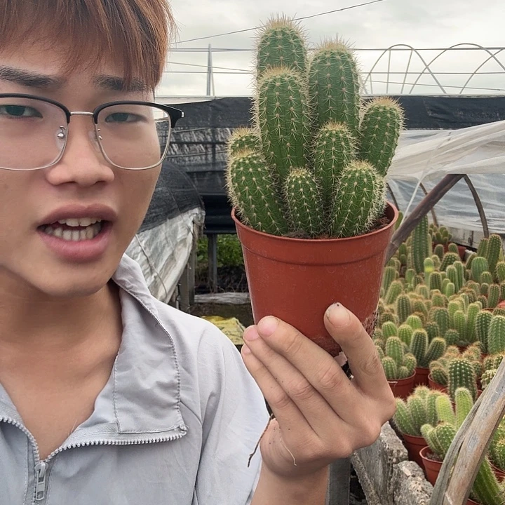 用***6无花朵云儿哈哈哈哈哈哈哈哈