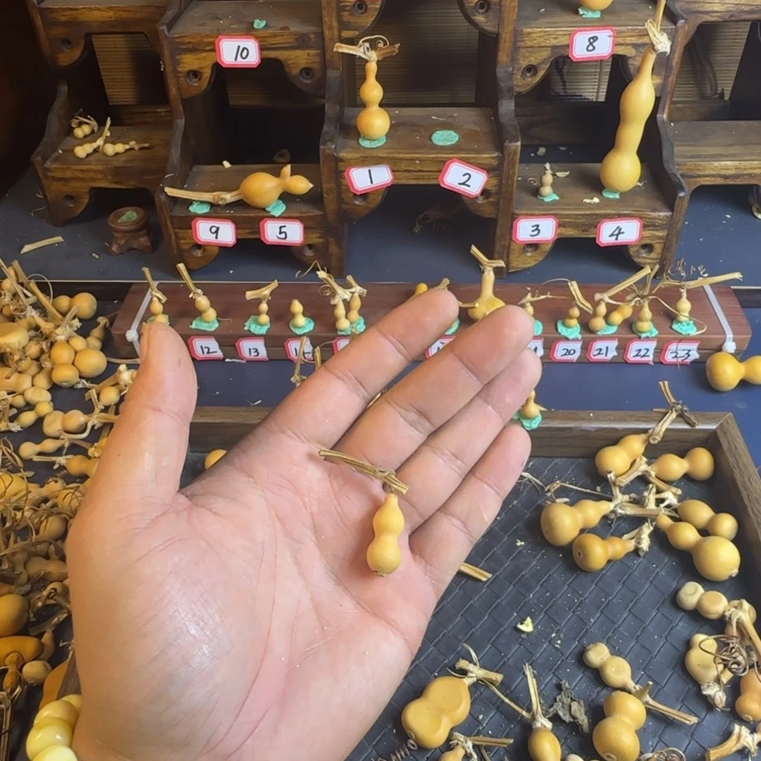 洋*洋我是一只小小鸟地域鬼的人