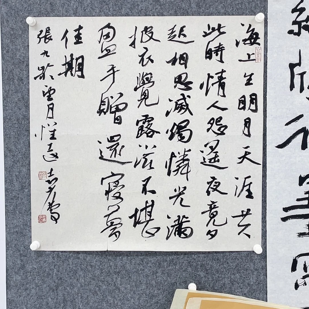 王***新书法半醒斋书法作品