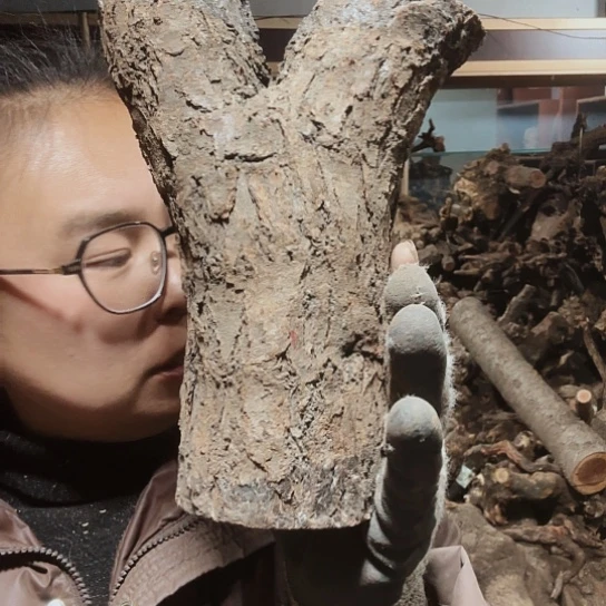 香榧木听*火琉璃的毛料摆件