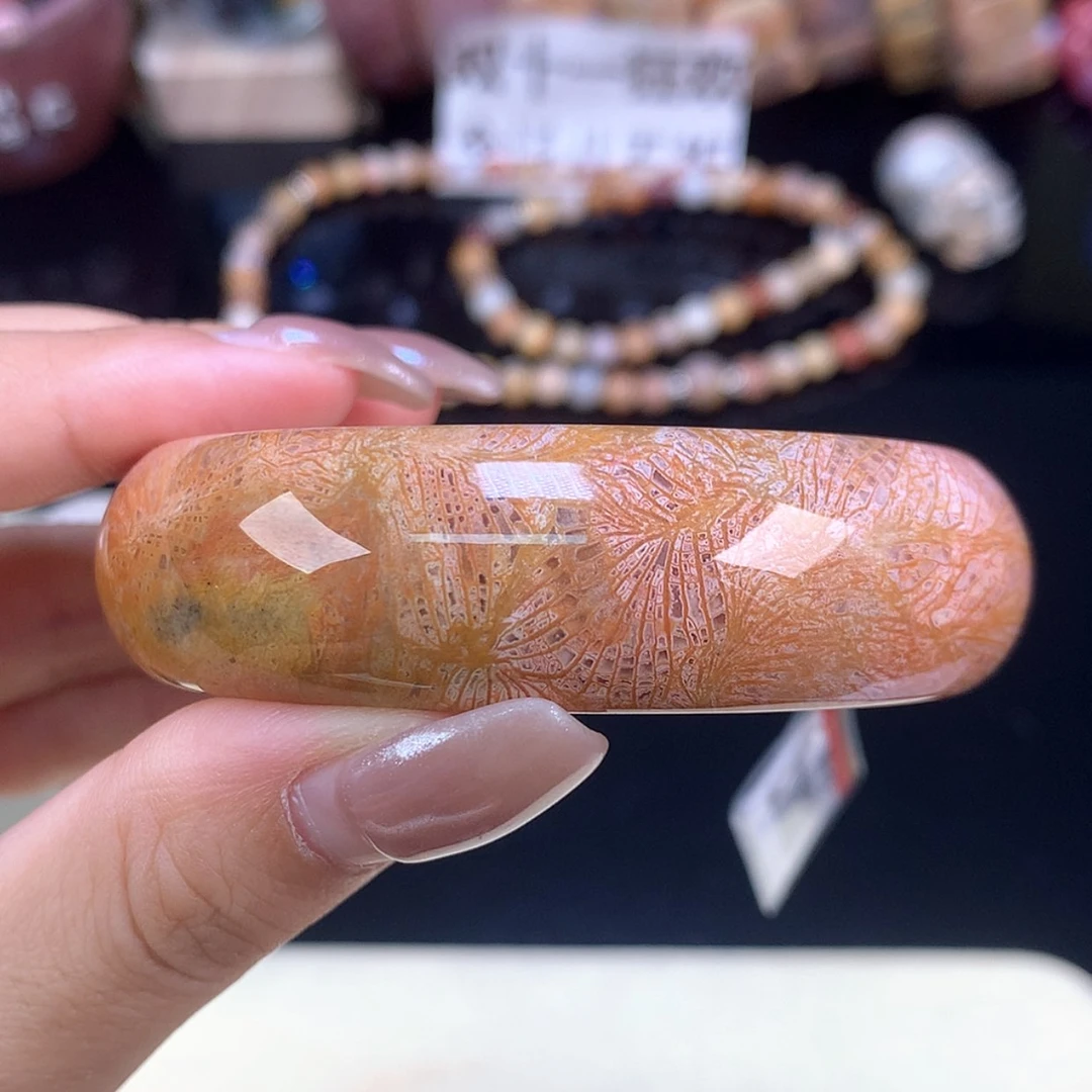 【闪购商品】颈饰未镶嵌硅化珊瑚（珊瑚玉）金橘凤尾54.4（30号）