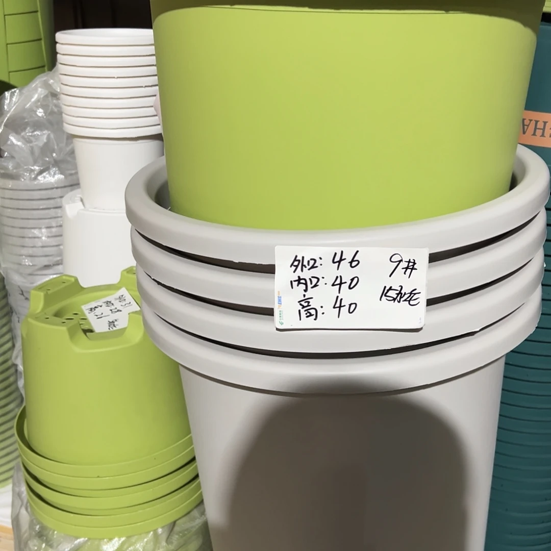 四季盆9#果绿色4个无托